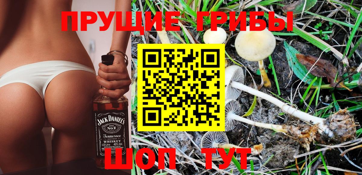 Псилоцибиновые грибы MAGIC MUSHROOMS  Вход с VPN  Белогорск 